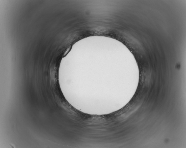 X0000100981346200807221224