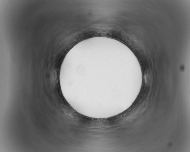 X0000100981347200807221224