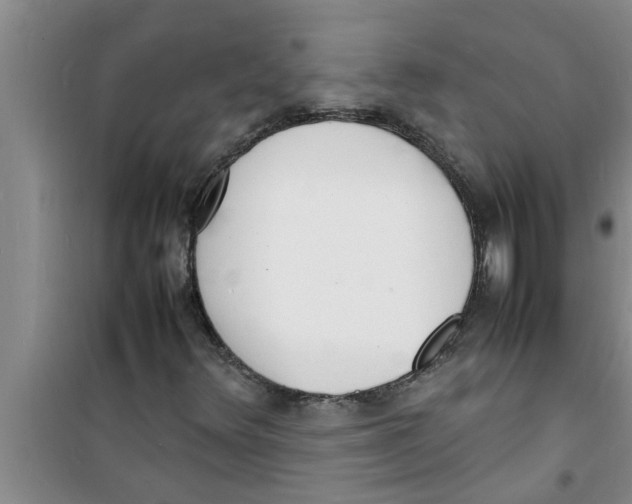 X0000100981348200807221224