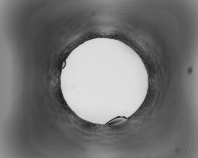 X0000100981349200807221224