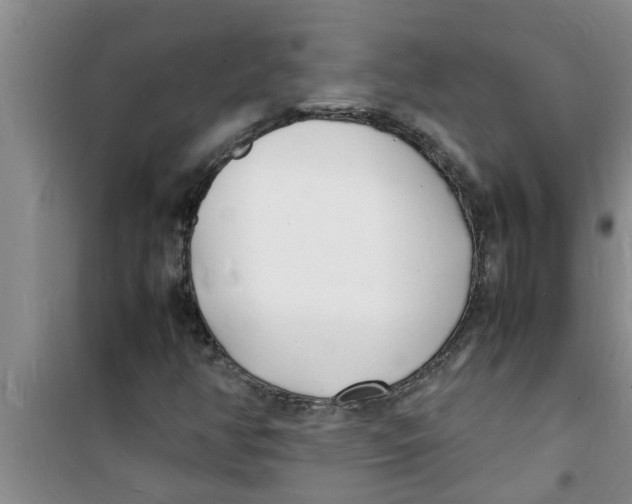 X0000100981350200807221224