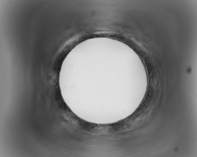 X0000100981351200807221224