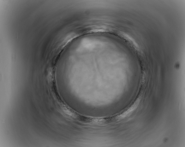 X0000100981353200807221224