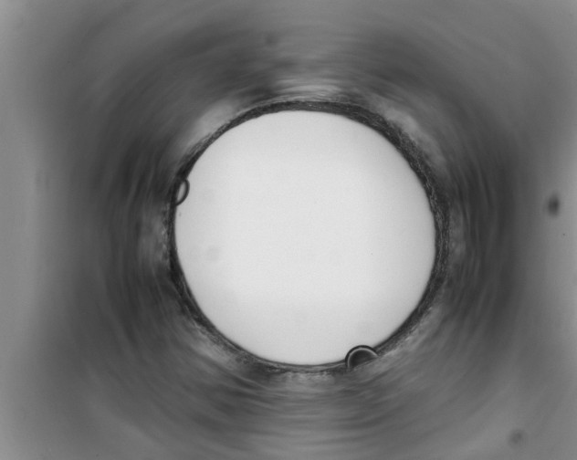 X0000100981354200807221224