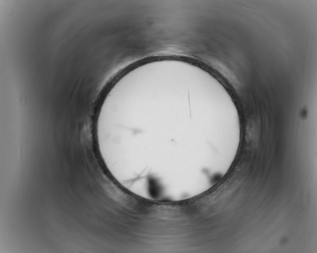 X0000100981356200807221224