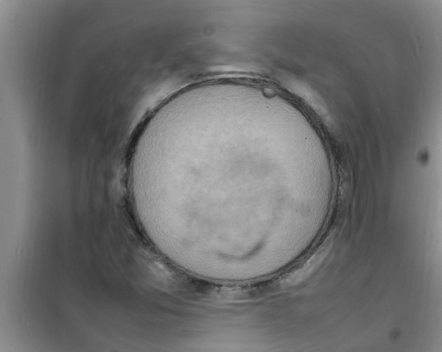 X0000100981357200807221224