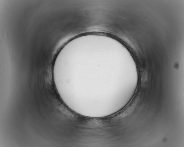 X0000100981358200807221224