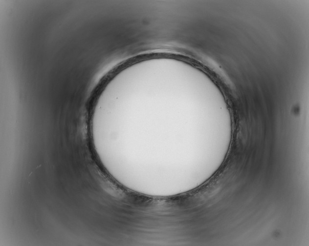 X0000100981360200807221224