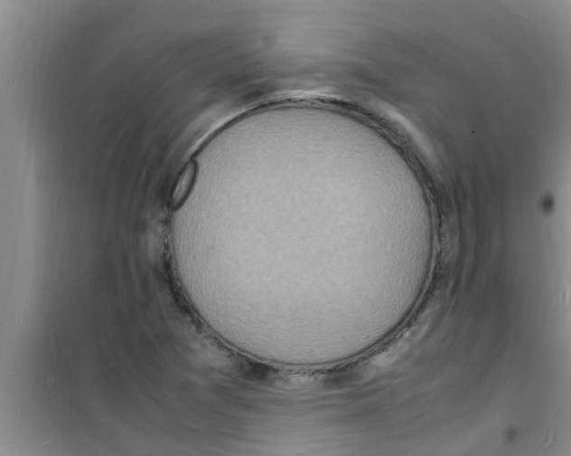 X0000100981361200807221224