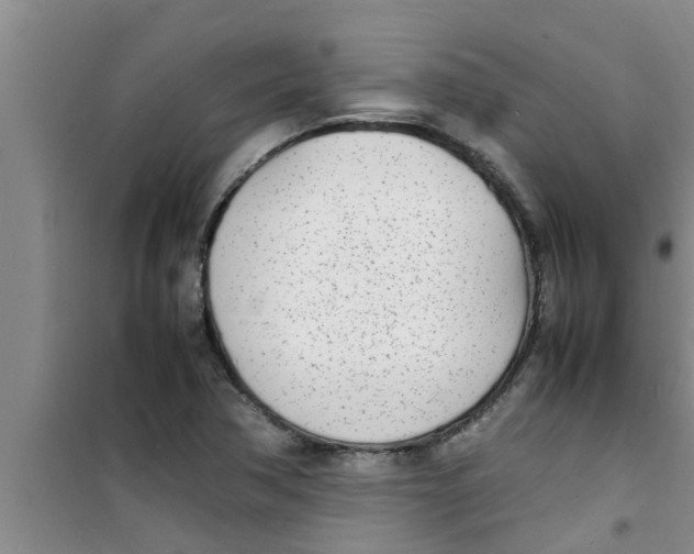 X0000100981362200807221224