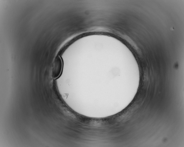 X0000100981364200807221223