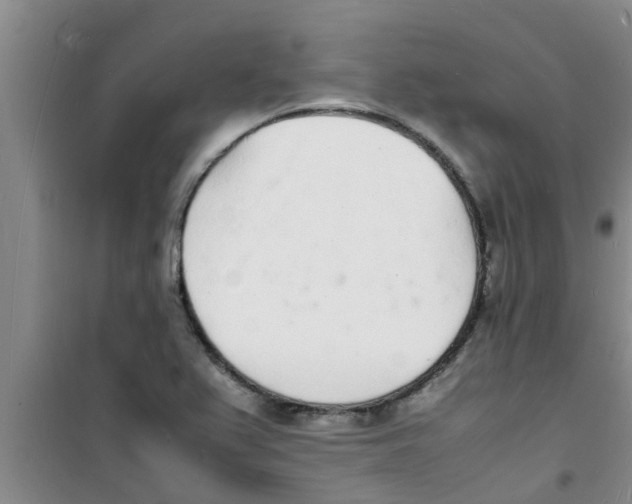 X0000100981367200807221223