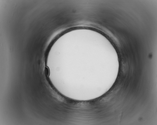 X0000100981368200807221223