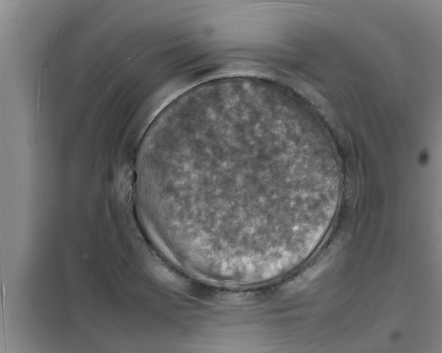 X0000100981369200807221223