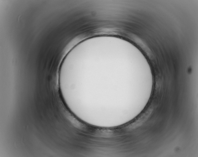 X0000100981370200807221223