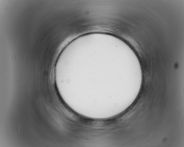 X0000100981371200807221223