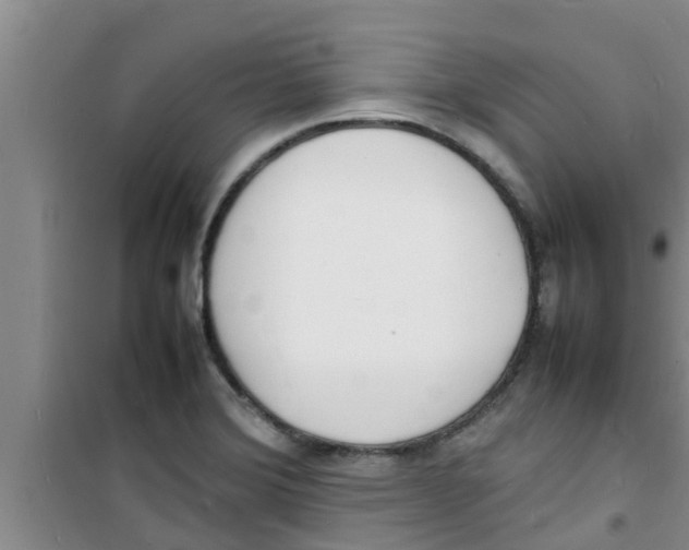 X0000100981372200807221223