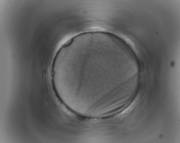 X0000100981373200807221223