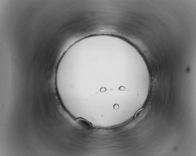 X0000100981374200807221223