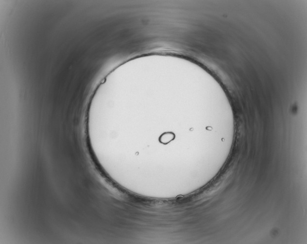 X0000100981375200807221223