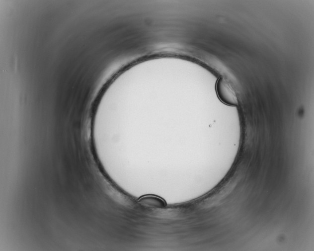 X0000100981376200807221223