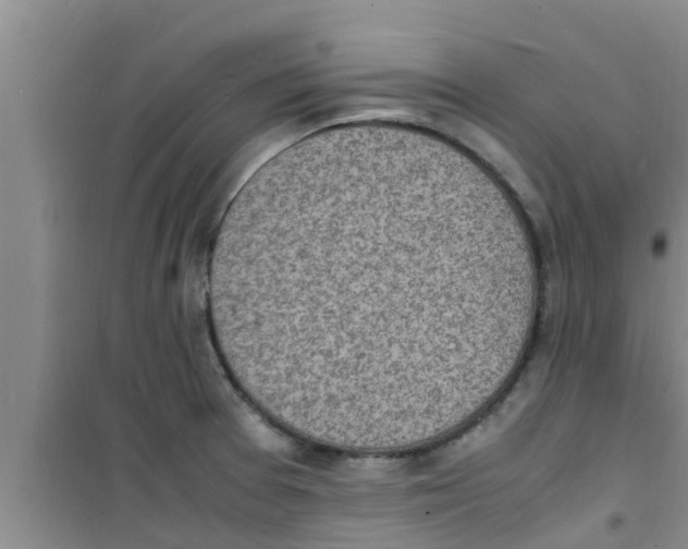 X0000100981377200807221223