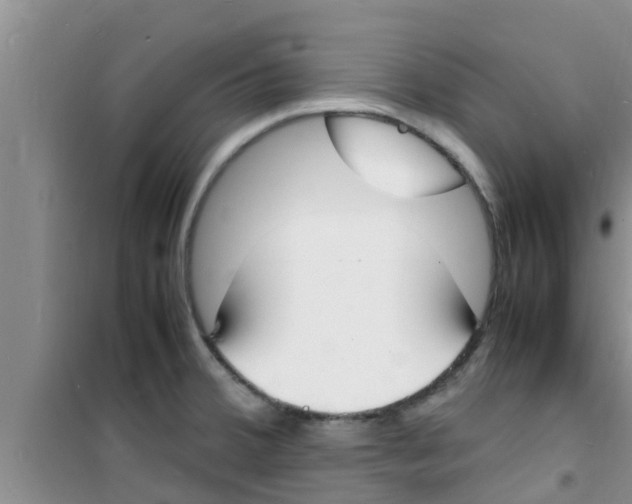 X0000100981380200807221223