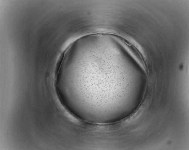 X0000100981381200807221223