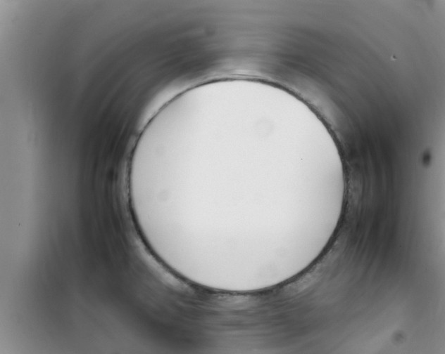 X0000100981382200807221223