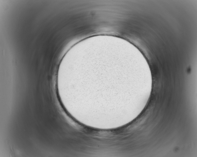 X0000100981383200807221223