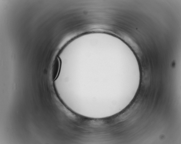 X0000100981384200807221223