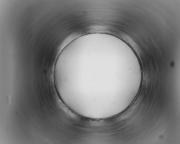 X0000100981386200807221223