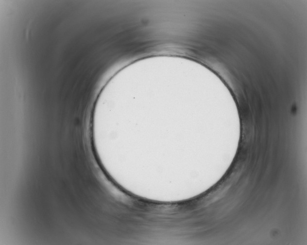 X0000100981387200807221223