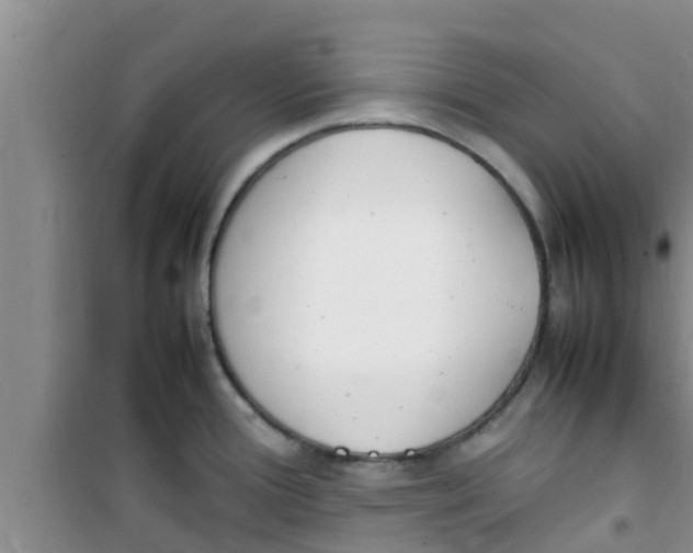 X0000100981388200807221223