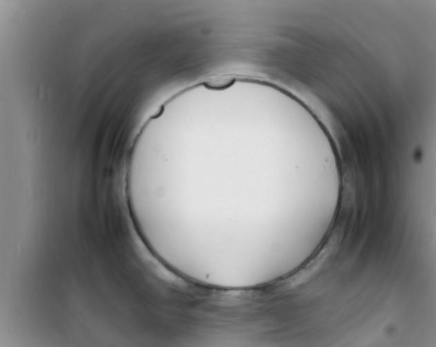 X0000100981390200807221223