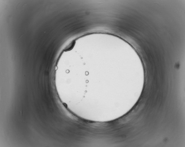 X0000100981392200807221223