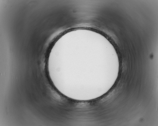 X0000100981406200807221222