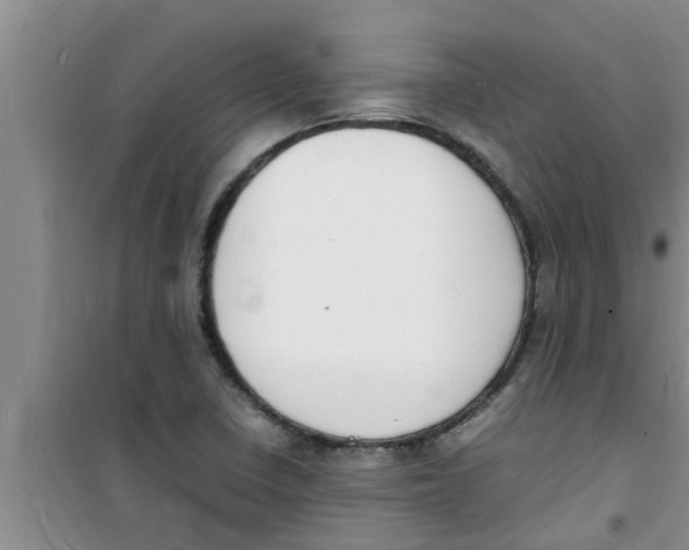 X0000100981410200807221222