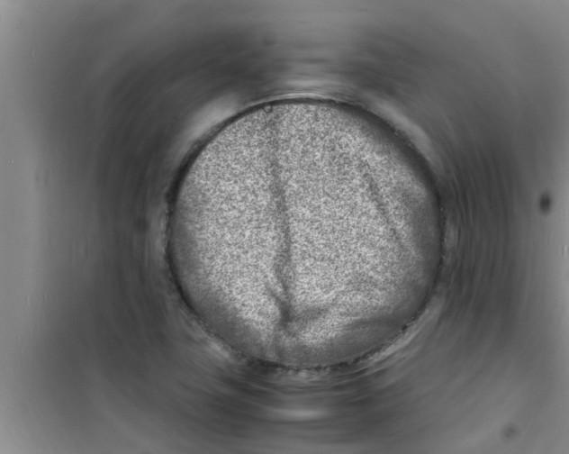 X0000100981411200807221223