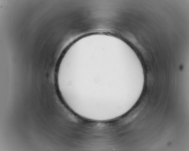 X0000100981412200807221223