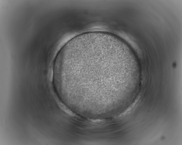 X0000100981413200807221223