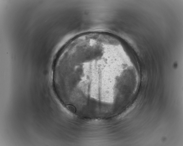 X0000100981414200807221223