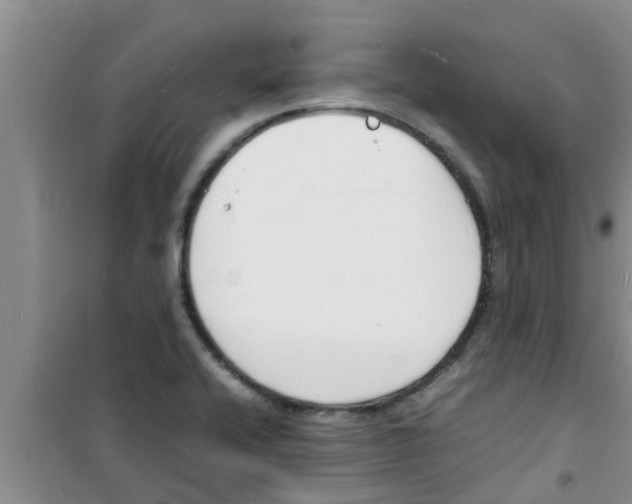 X0000100981416200807221223