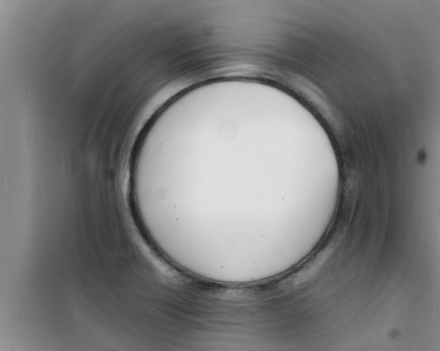 X0000100981418200807221223