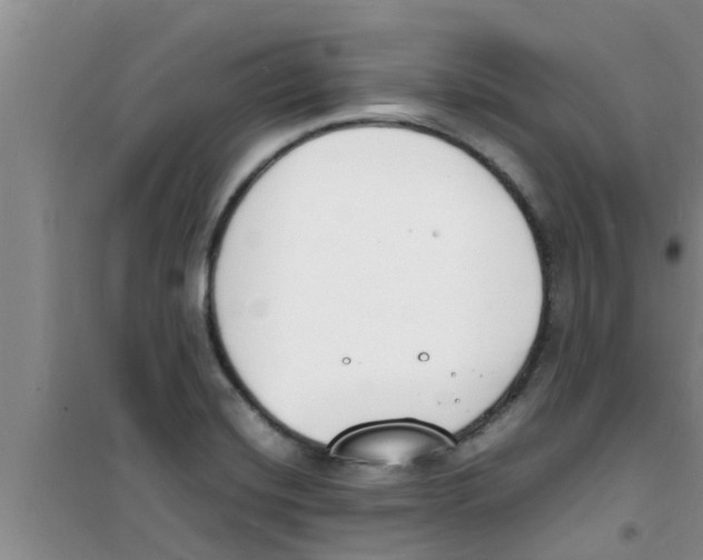 X0000100981420200807221223