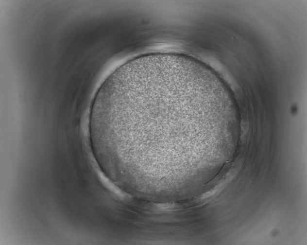 X0000100981421200807221223