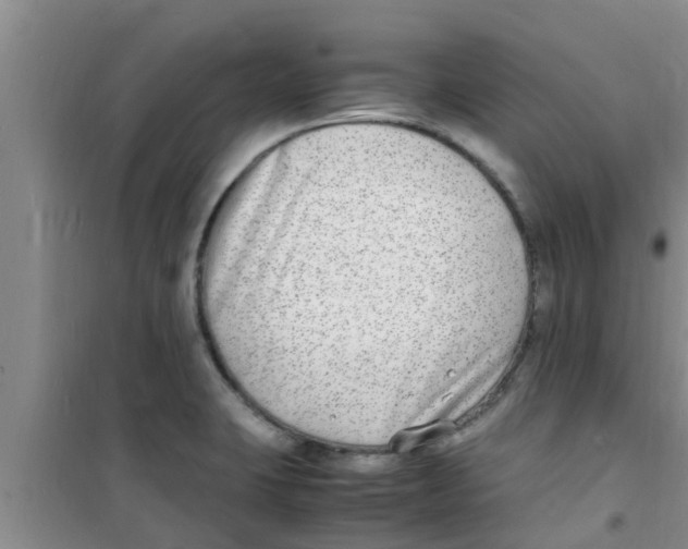 X0000100981423200807221223