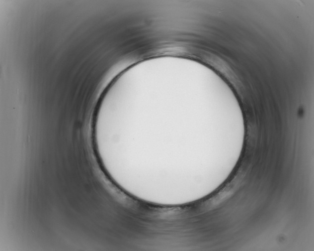 X0000100981426200807221223