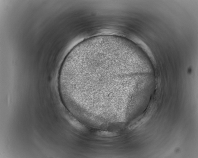 X0000100981427200807221223