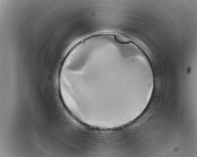 X0000100981428200807221223